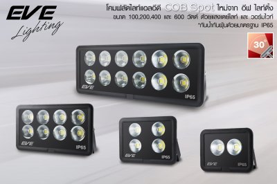 LED Floodlight
