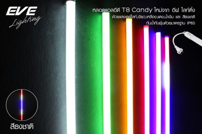 LED T8 & T5
