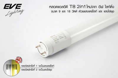 LED T8 & T5