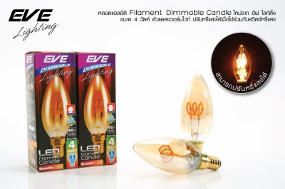 LED Candle & PAR