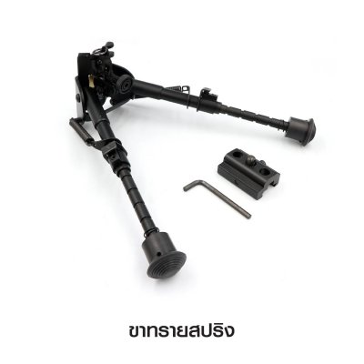 ขาทรายสปริง