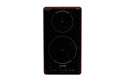 Built-in induction hob 2 burners 30 cm with Schott Ceran glass and slide control
