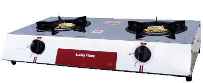 Double Burner Gas Stove with Brass Burner and Stainless Steel Top