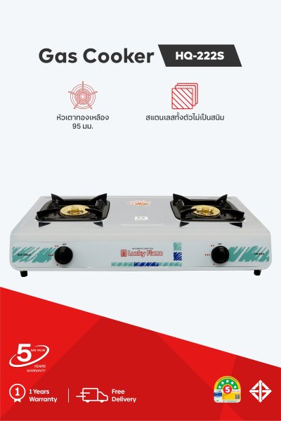 Double burner gas stove with brass burners and stainless steel body