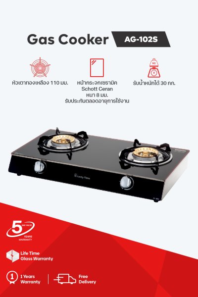 Double burner gas stove with tempered glass and stainless steel body