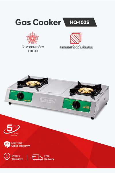 Double burner gas stove with brass burners and stainless steel body