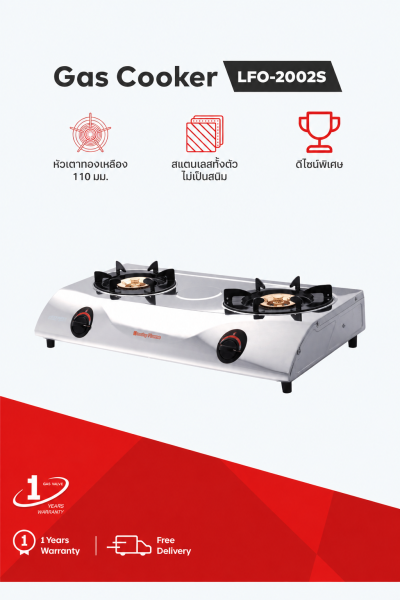 Double burner gas stove with brass burners and curved stainless steel body