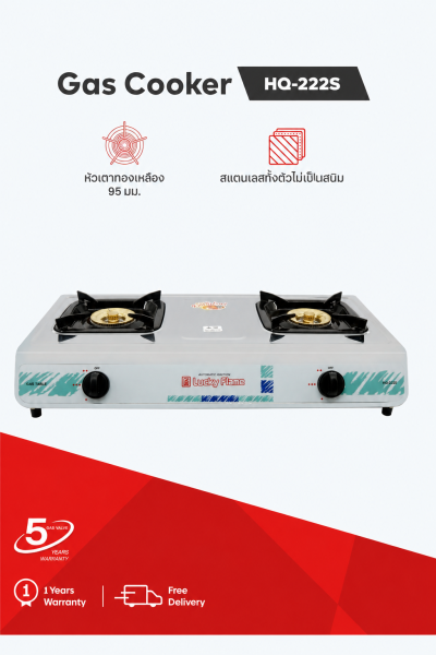 Double burner gas stove with brass burners and stainless steel body