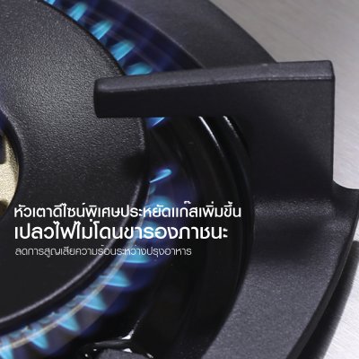 เตาฝัง หน้าสเตนเลส รูปทรงดอกไม้ LBS-9102F