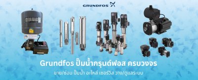 กรุนด์ฟอสgrundfos cr3-36 96516670