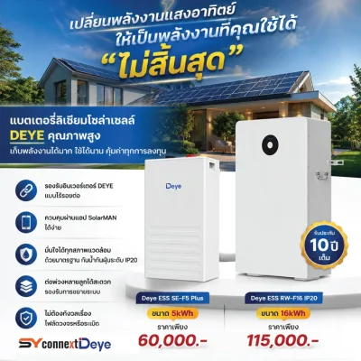 แบตเตอรี่โซลาร์เซลล์ Deye