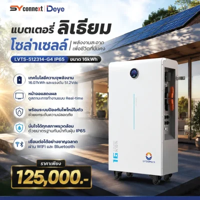 แบตเตอรี่โซลาร์เซลล์ LVTopSun