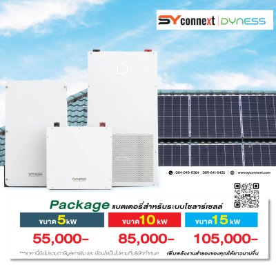 แบตเตอรี่โซลาร์เซลล์ Dyness