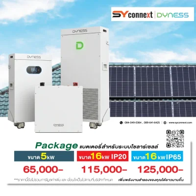 แบตเตอรี่โซลาร์เซลล์ Dyness