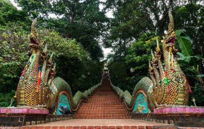 Half Day Tour Doi Suthep & Monk Almsgiving (Morning)