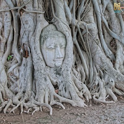 Ayutthaya World Herritage One Day Join Tour