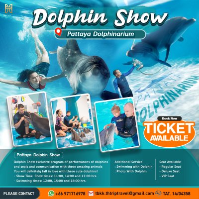 Dolphin Show Pattaya Entrance Ticket