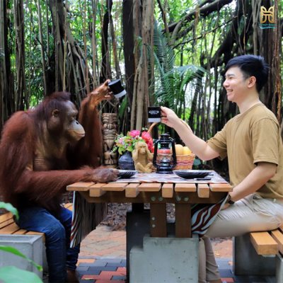 Safari World Bangkok Full Package With Transfer