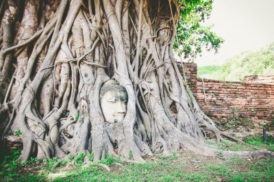 Bangkok Ayutthaya Full Day Tour back by Cruise and Transfer