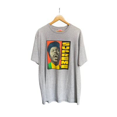 SUPREME NEW YORK LITTLE RICHARD SS12 GRAY T-SHIRT [XL]