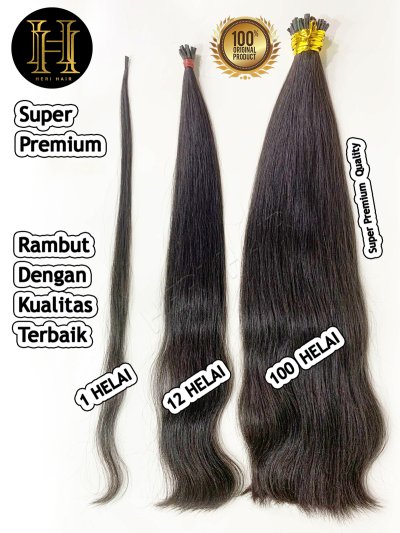 1 & 12 & 100 helai super