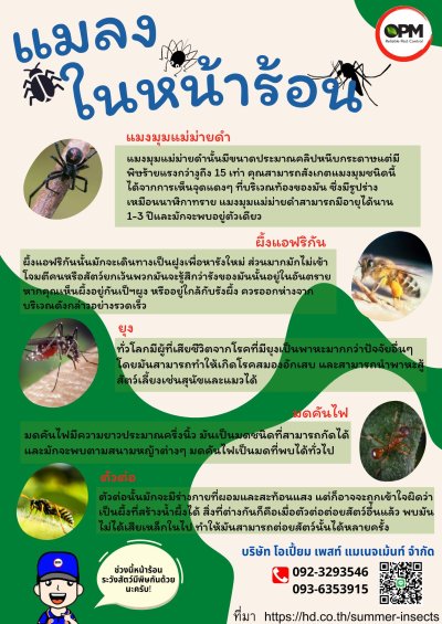 รวมโปสเตอร์ความรู้เกี่ยวกับแมลง