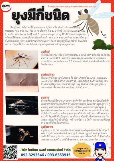 รวมโปสเตอร์ความรู้เกี่ยวกับแมลง