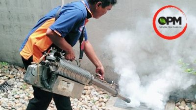 กำจัดยุง Mosquito Control