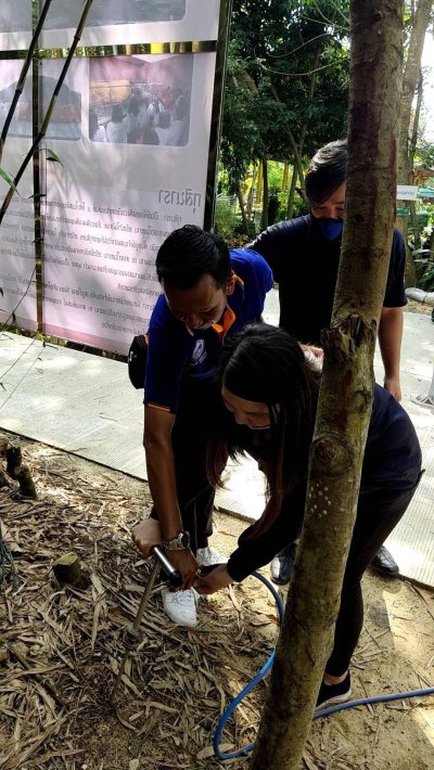 อบรมเชิงปฏิบัติการ Upskill for Pest Operations 