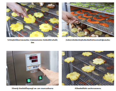 ตู้อบลมร้อน เครื่องอบแห้ง 16 ถาด ตู้อบลมร้อน เครื่องอบแห้ง 16 ถาด