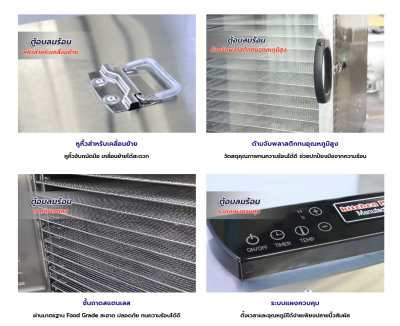 ตู้อบลมร้อน เครื่องอบแห้ง 16 ถาด ตู้อบลมร้อน เครื่องอบแห้ง 16 ถาด