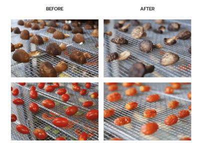 ตู้อบลมร้อน เครื่องอบแห้ง 16 ถาด ตู้อบลมร้อน เครื่องอบแห้ง 16 ถาด