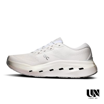 ON CLOUDRUNNER 3 MAX - WHITE | GLACIER [MEN]