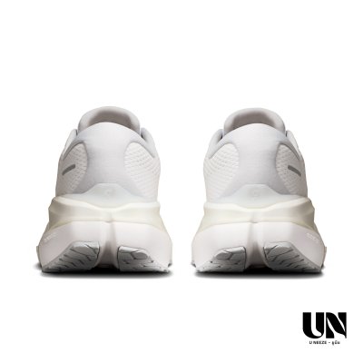 ON CLOUDRUNNER 3 MAX - WHITE | GLACIER [MEN]