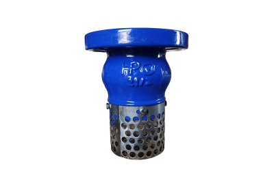 Forged steel piston check valve class 800