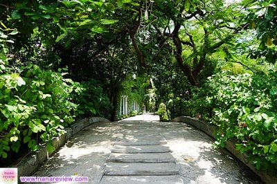 Plantation Cafe สวนพุด