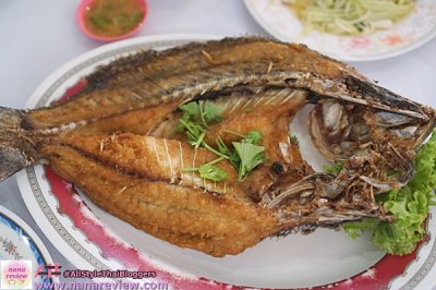 ร้านปัญญา นาจอมเทียน 