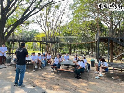 GWM ครอบครัว ขบวนรถ Haval 17 มกราคม 2569