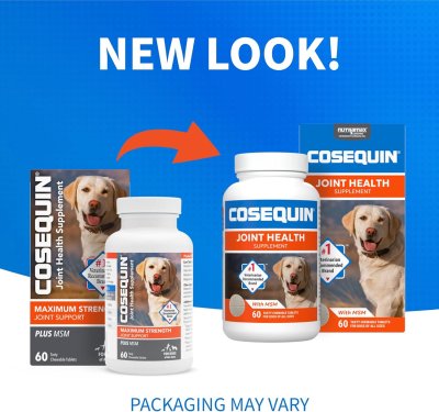 [60 เม็ด] COSEQUIN Joint Health with MSM บำรุงข้อต่อสุนัข สะโพก ขากระเพก อ่อนแรง ลุกยาก