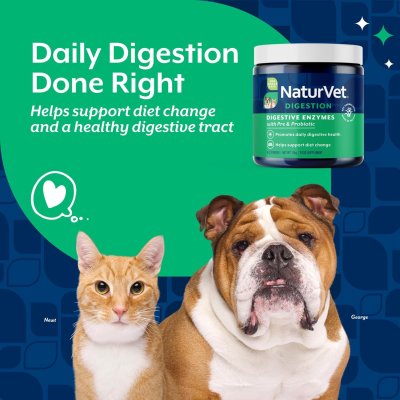 Naturvet Digestive Enzymes ชนิดผง (114 g.)