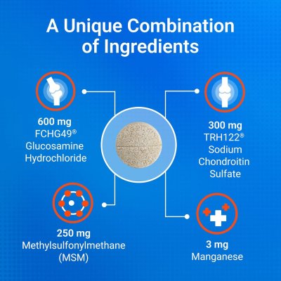 [132 เม็ด]  COSEQUIN Joint Health with MSM บำรุงข้อต่อสุนัข สะโพก ขากระเผลก อ่อนแรง ลุกยาก