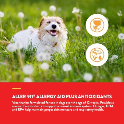 Naturvet Aller-911 Allergy Aid Dog [180 Chews]