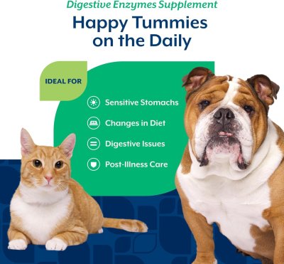 Naturvet Digestive Enzymes ชนิดผง (114 g.)