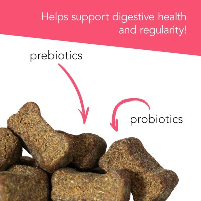 Vetri Probiotic Everyday Dog โพรไบโอติก สุนัข (45 chews)