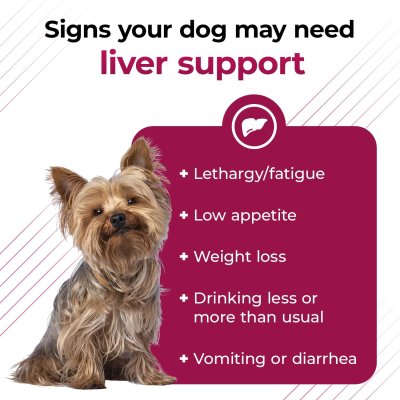 Vetri SAME 90 เสริมการทำงานของตับ บำรุงตับสุนัข บำรุงตับแมว 30 เม็ด [Exp. 03/2027]