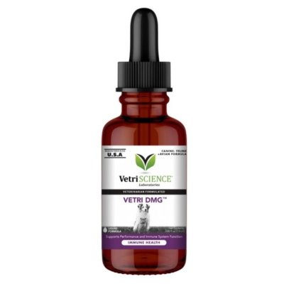 Vetri-DMG [30 ml] ชนิดน้ำ วิตามินเสริมภูมิต้านทานสุนัข-แมว