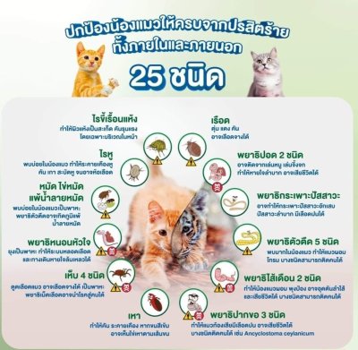 Nexgard Combo Cats แมว 2.5-7.5 kg ( 3 หลอด/กล่อง) เน็กการ์ด คอมโบ แมว (สีเขียว)