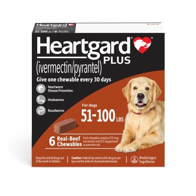 Heartgard Plus สุนัขหนัก 23-45 กก (สีเขียว)  ยากินชนิดเคี้ยว ป้องกันโรคพยาธิหนอนหัวใจ รักษาและควบคุมพยาธิลำไส้ในสุนัข Exp.11/2027