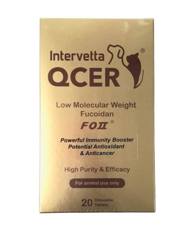 QCER  คิวเซอร์ สุนัข-แมว ต้านมะเร็ง เนื้องอก มีก้อนเนื้อผิดปกติ (20 เม็ด) สีทอง