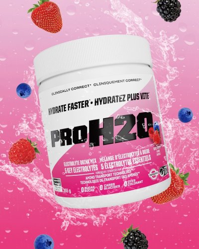 PVL PROH2O 255 g